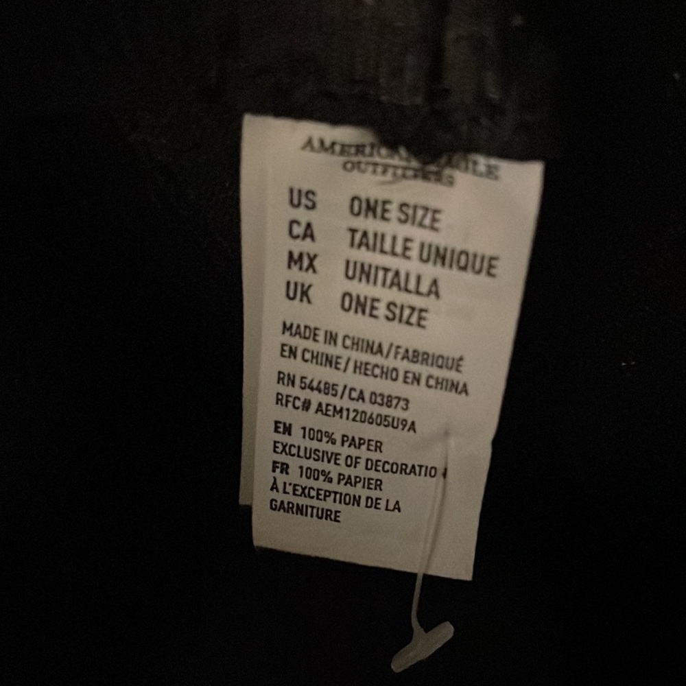 American Eagle Hat - image 7